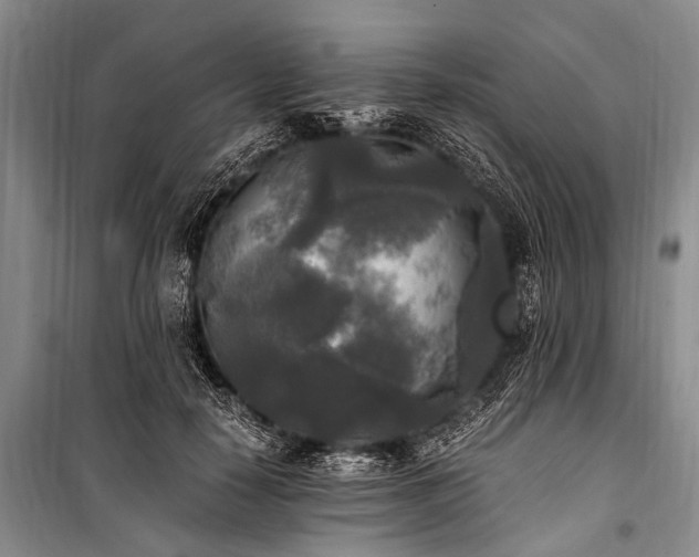 X0000100940650200807011246