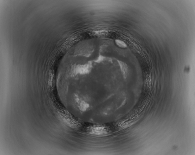 X0000100940651200807011246