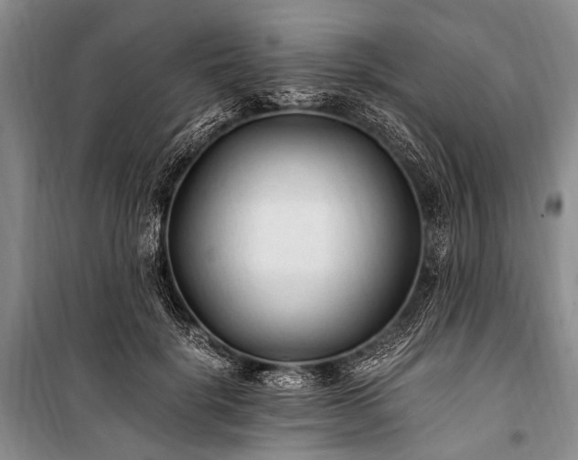 X0000100940652200807011246