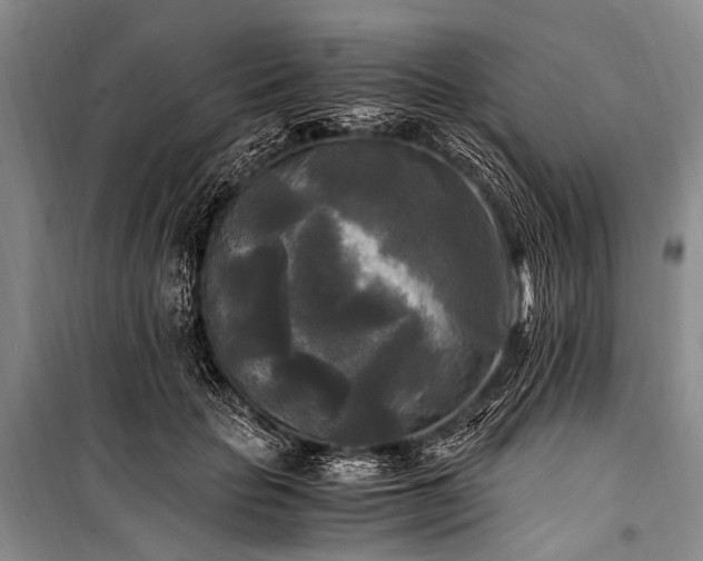 X0000100940653200807011246