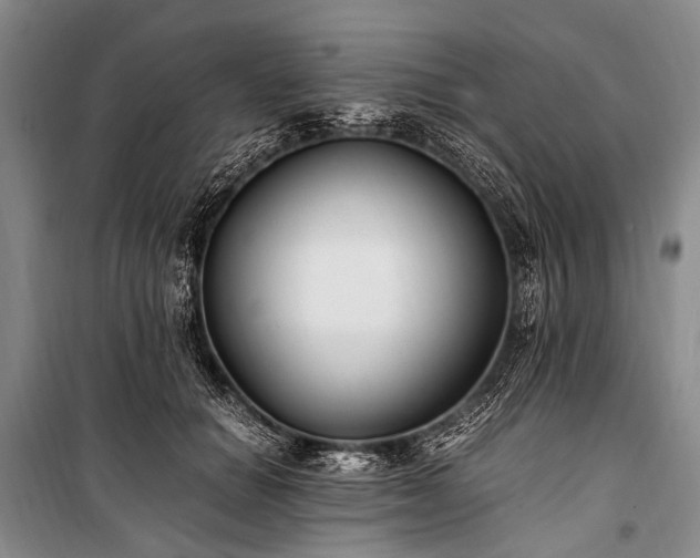 X0000100940654200807011246