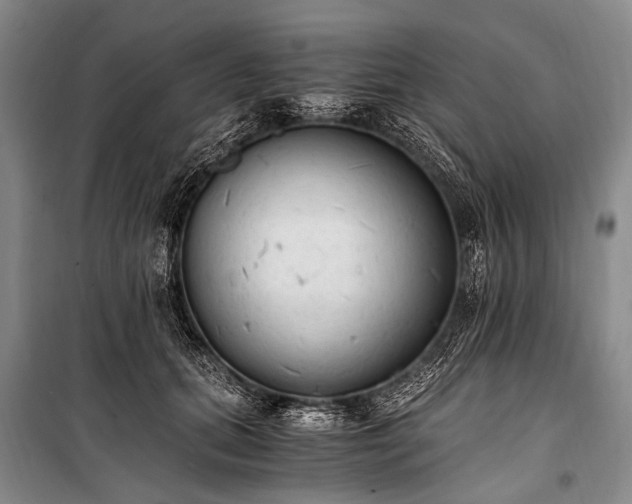 X0000100940655200807011246