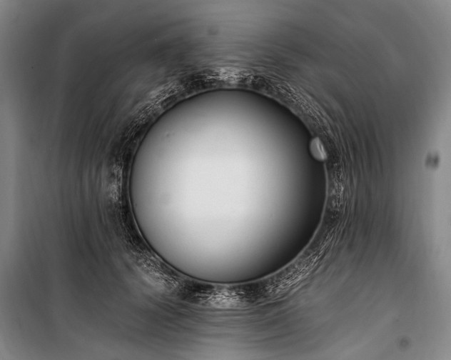 X0000100940656200807011246