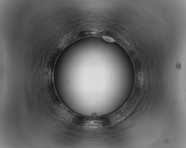 X0000100940657200807011246