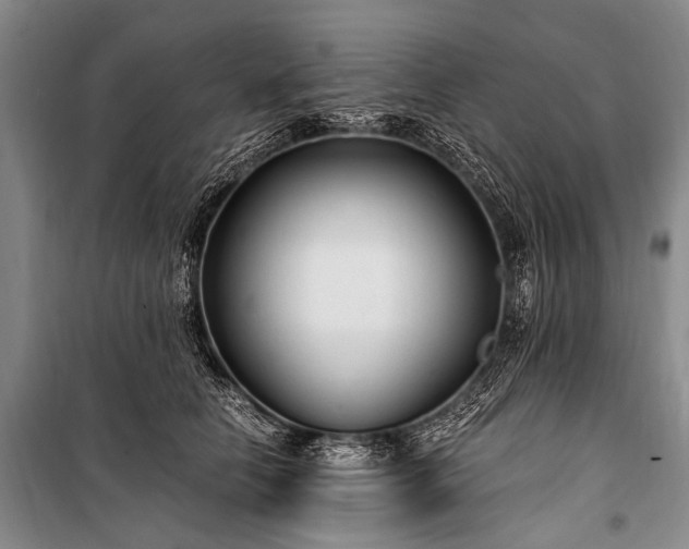 X0000100940658200807011246