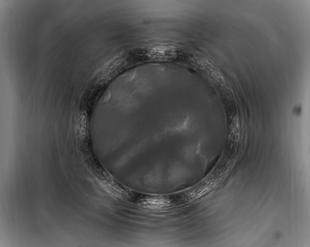 X0000100940659200807011246