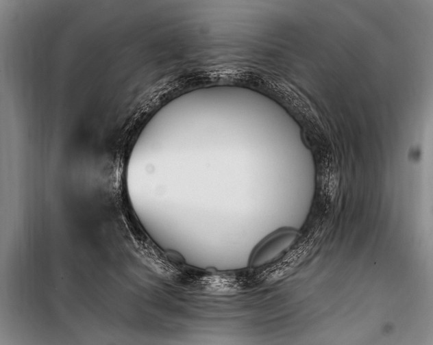 X0000100940660200807011246