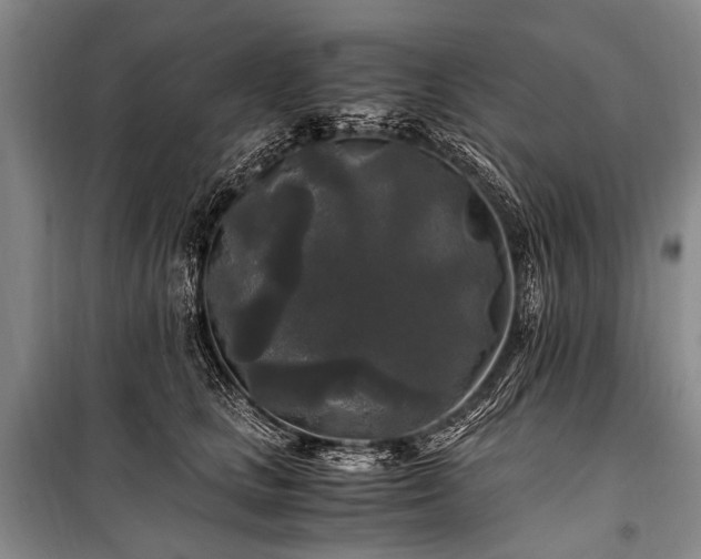 X0000100940661200807011246