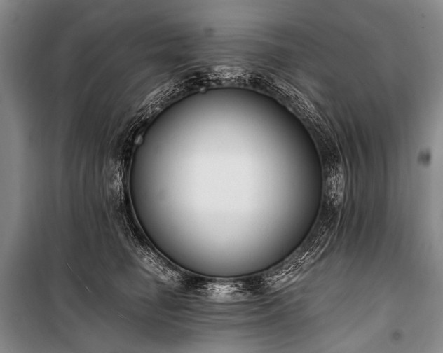 X0000100940662200807011246