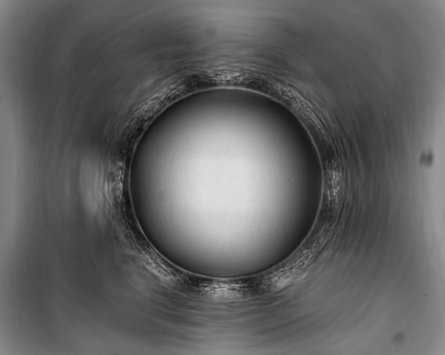 X0000100940664200807011246