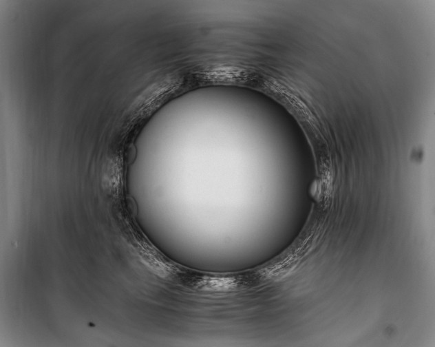 X0000100940665200807011246