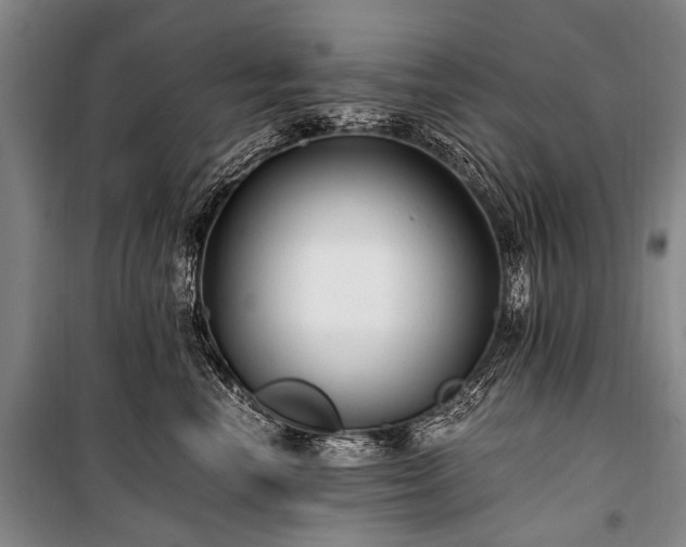 X0000100940666200807011246