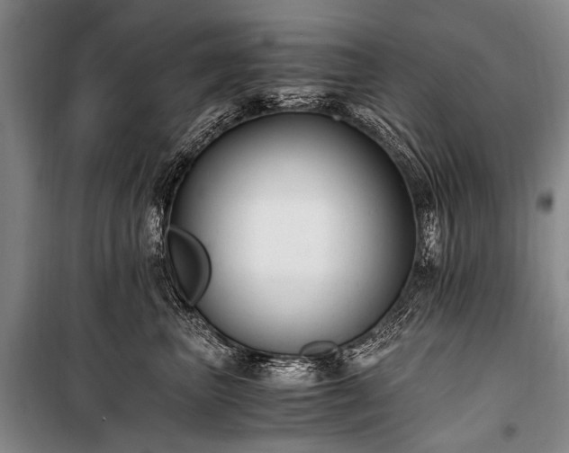 X0000100940667200807011246