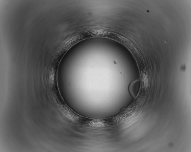 X0000100940668200807011246