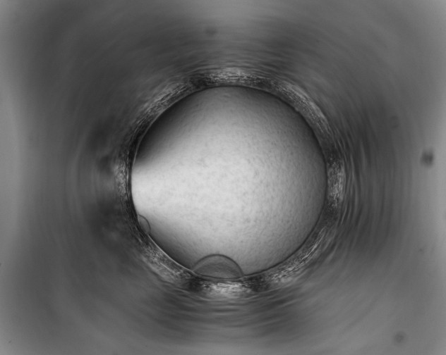 X0000100940669200807011246