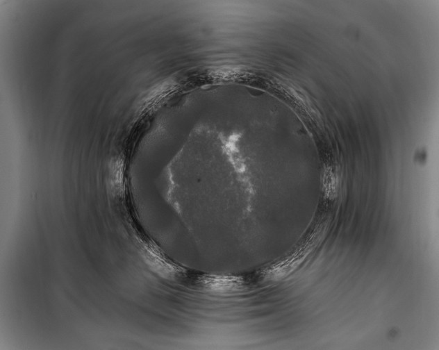 X0000100940670200807011246