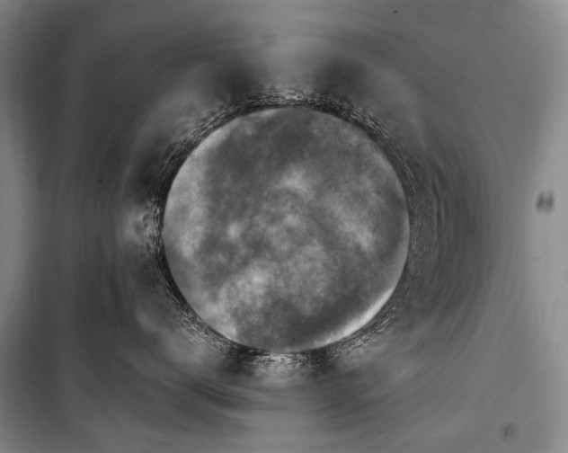 X0000100940672200807011246