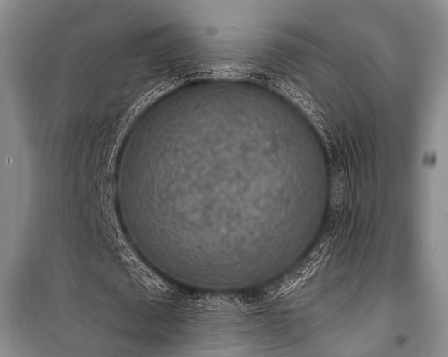 X0000100940673200807011245