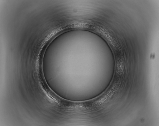 X0000100940674200807011245