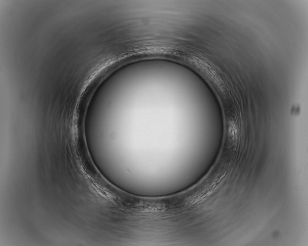 X0000100940676200807011245