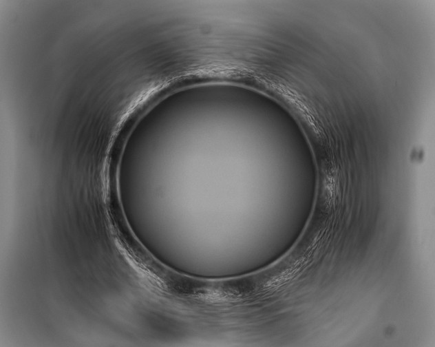 X0000100940678200807011245