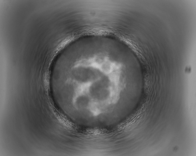 X0000100940679200807011245