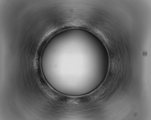 X0000100940680200807011245