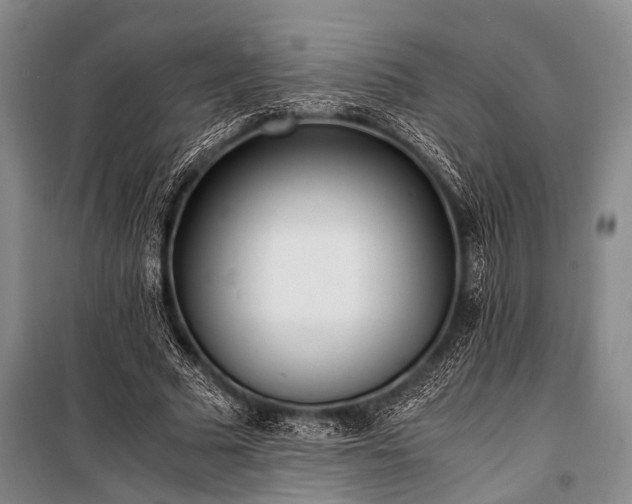 X0000100940681200807011245