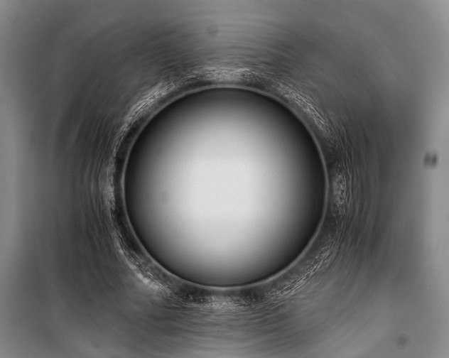 X0000100940682200807011245