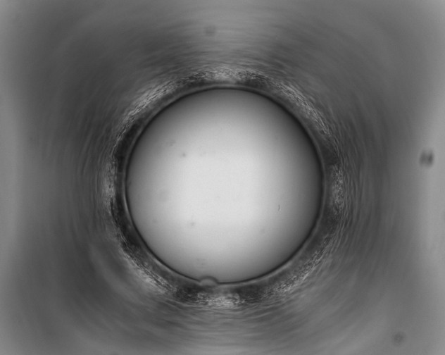 X0000100940683200807011245