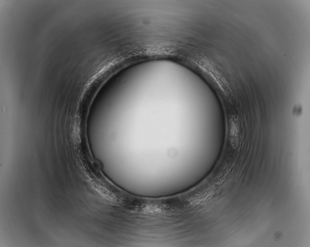 X0000100940684200807011245