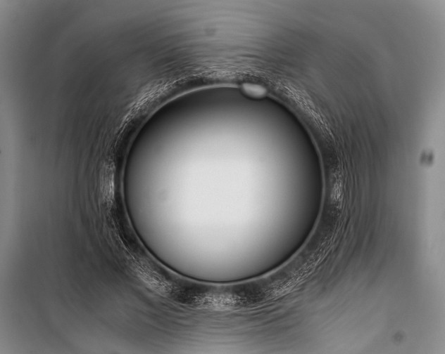 X0000100940685200807011245