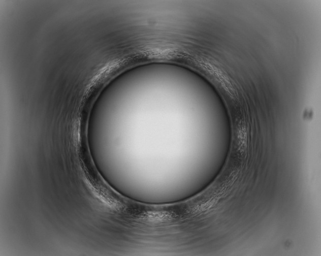 X0000100940686200807011245