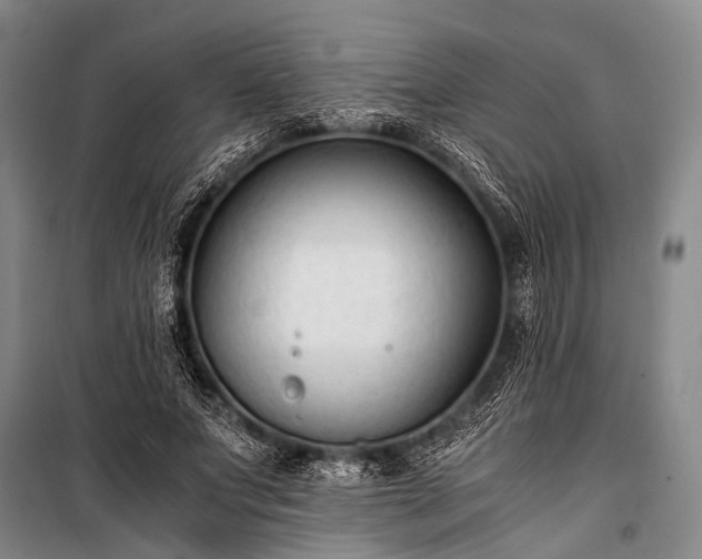 X0000100940687200807011245