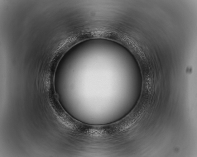 X0000100940690200807011245