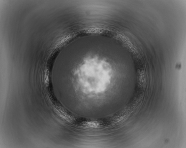 X0000100940692200807011245