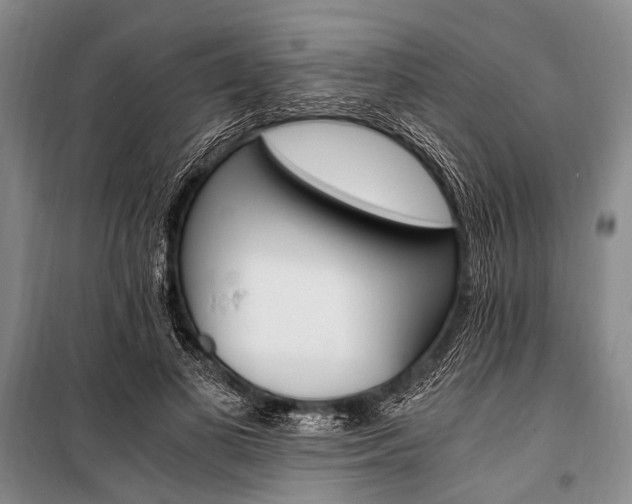 X0000100940693200807011245