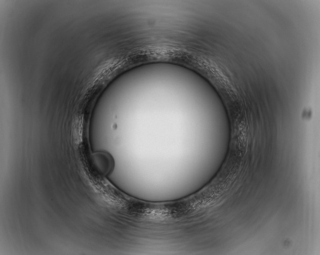 X0000100940694200807011245