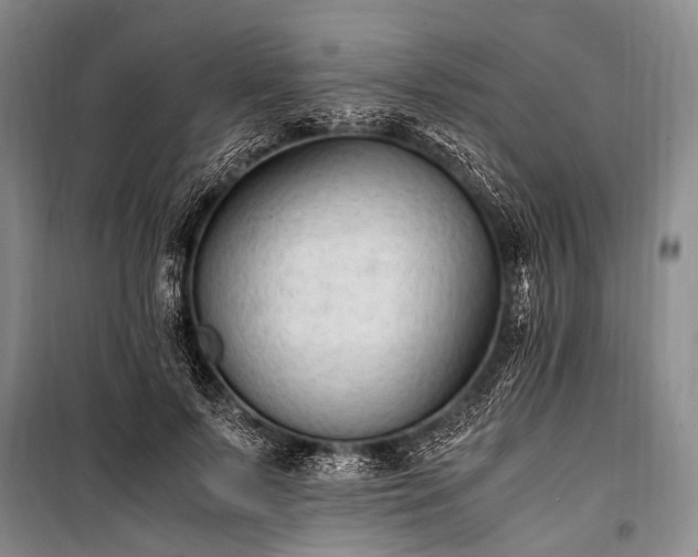 X0000100940695200807011245