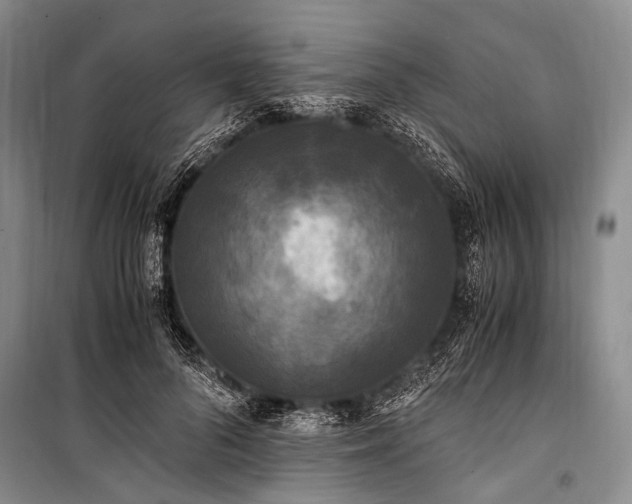 X0000100940696200807011245