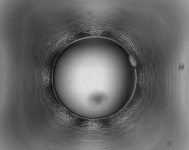 X0000100940697200807011245