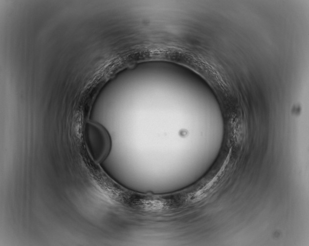 X0000100940698200807011245