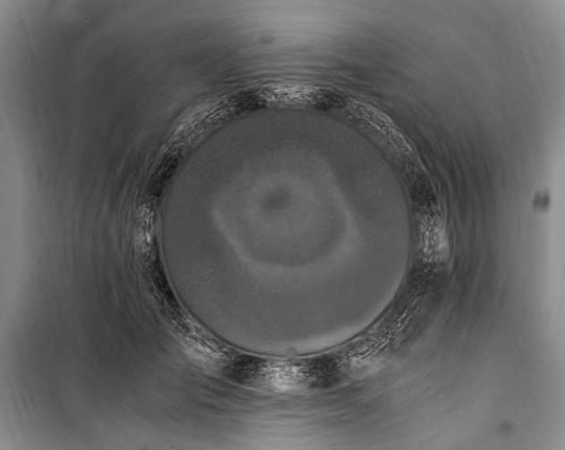 X0000100940701200807011245