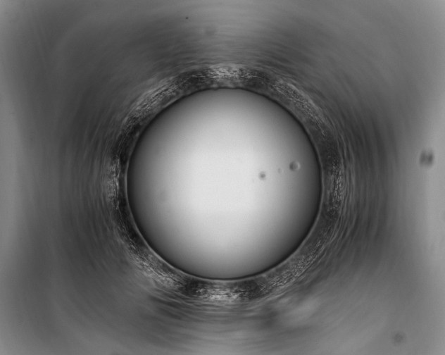 X0000100940702200807011245