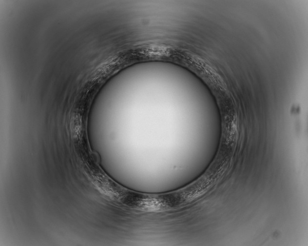 X0000100940704200807011245