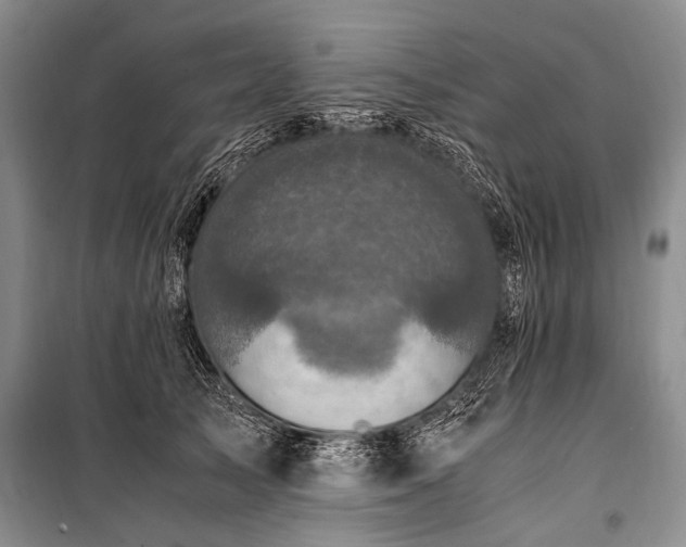 X0000100940705200807011245