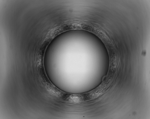 X0000100940706200807011245