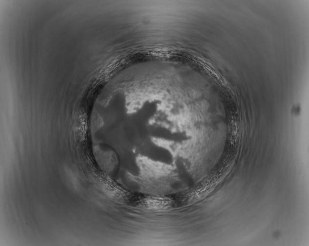 X0000100940707200807011245