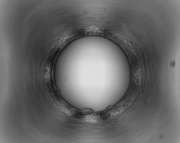 X0000100940708200807011245