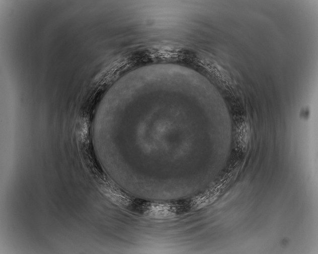 X0000100940709200807011245